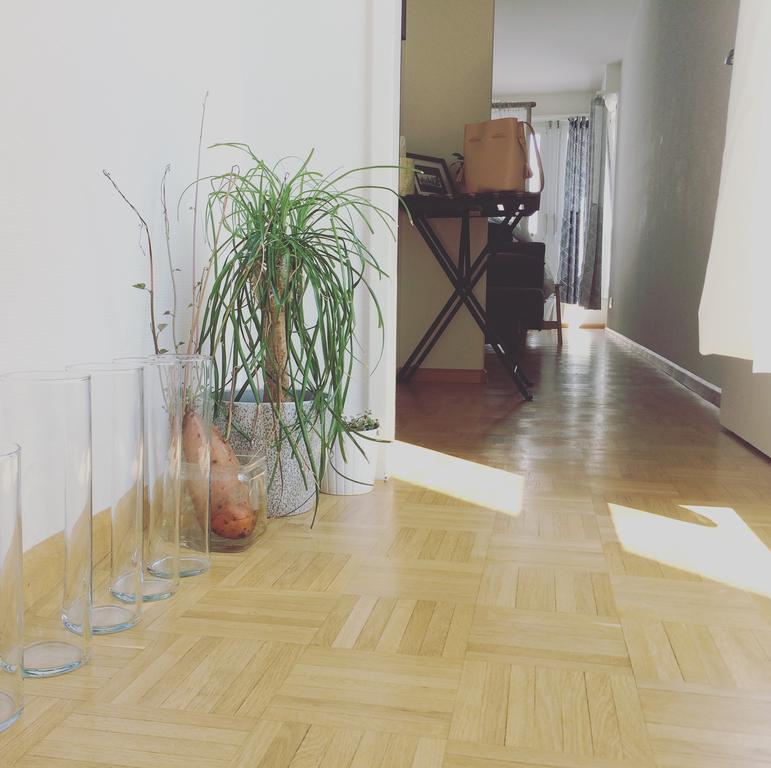 In Swiss Home - Downtown Rhine Riverside Luxury 巴塞尔 外观 照片